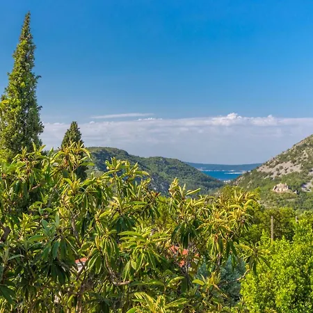 Villa Amina *